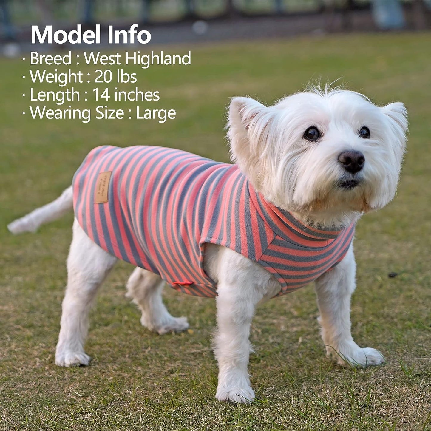 KYEESE 2Pack Velvet Fleece Dog Sweaters – Warm, Stretchy Turtleneck Pullovers