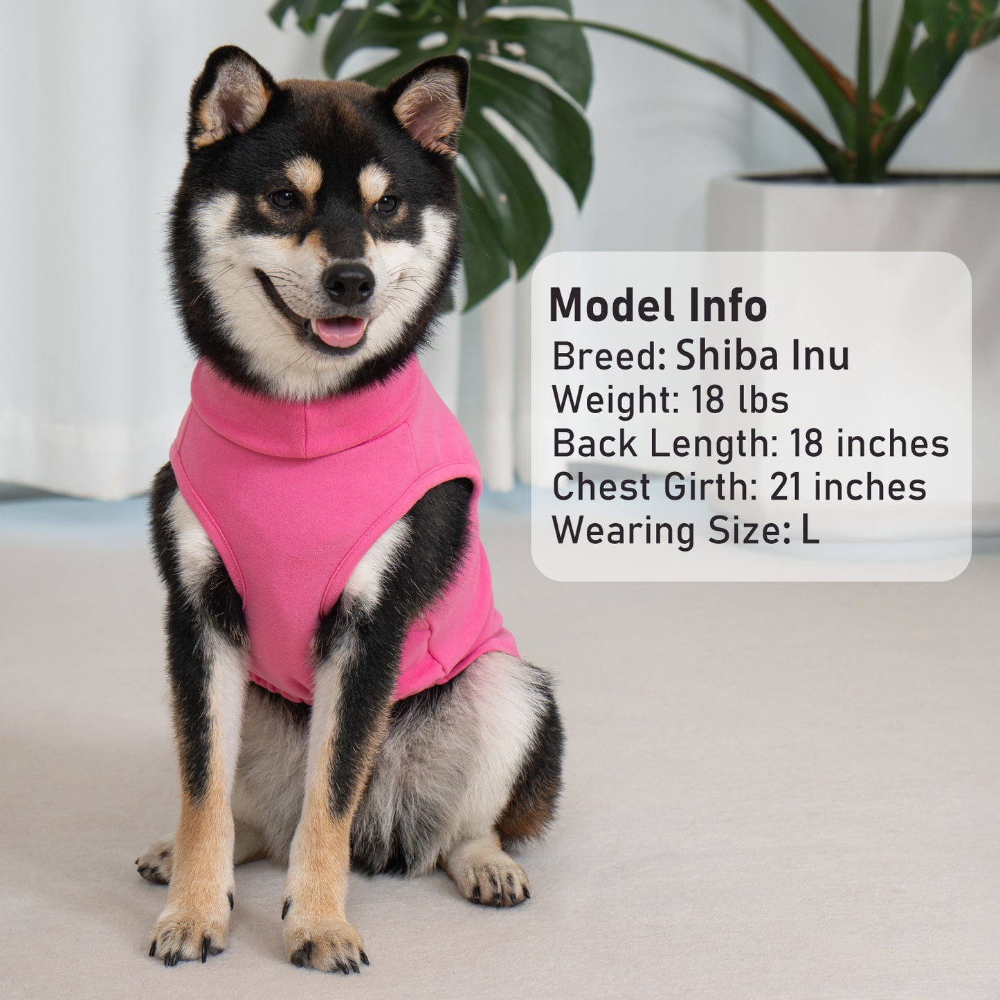 KYEESE 2Pack Velvet Fleece Dog Sweaters – Warm, Stretchy Turtleneck Pullovers