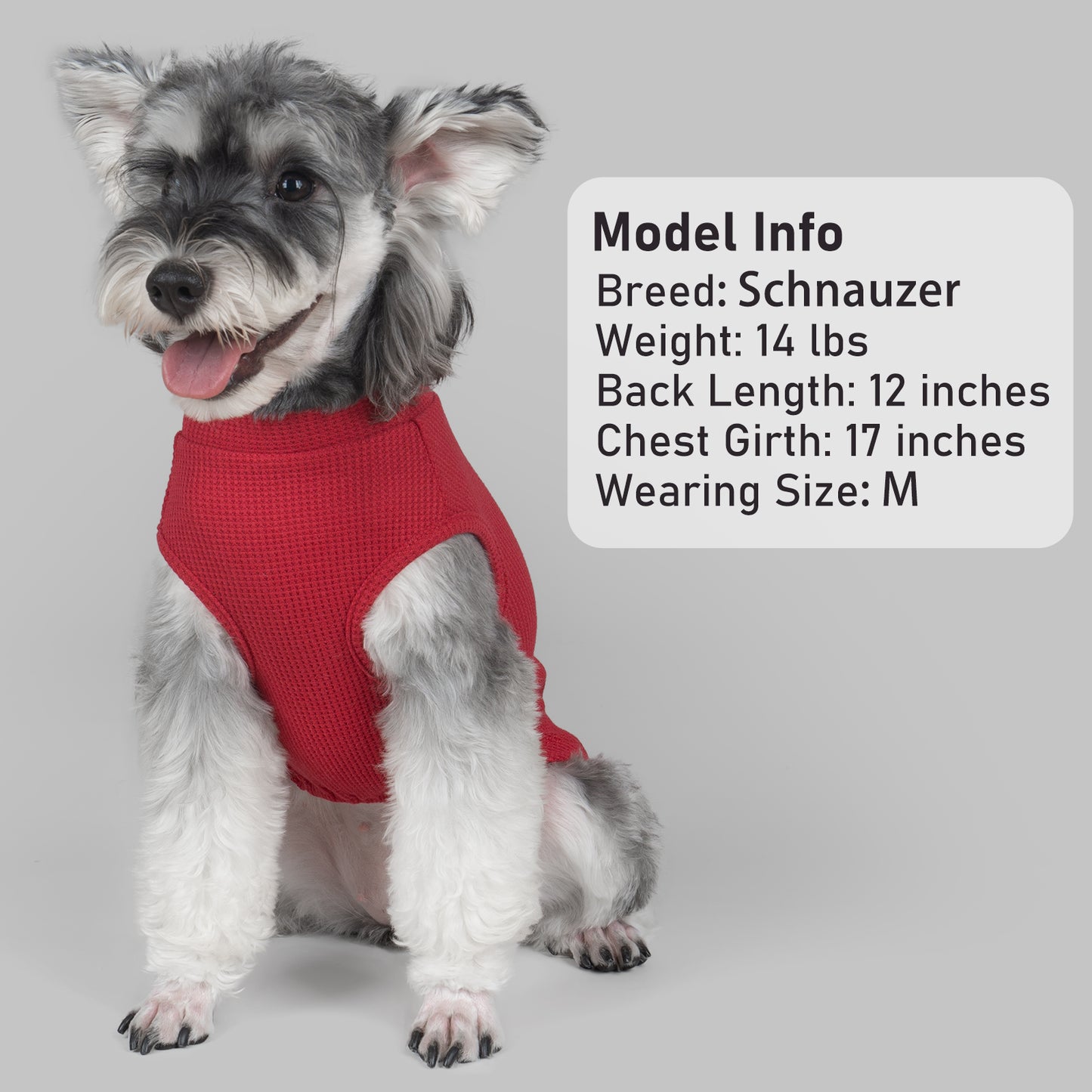 2PACK WAFFLE DOG SHIRT