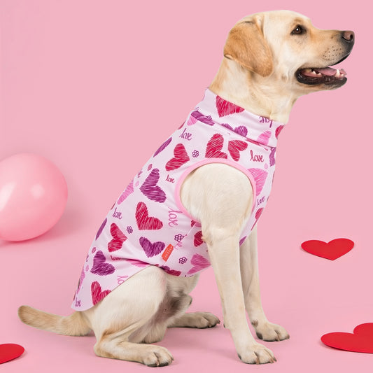 Valentine Heart Velvet Sleeveless Dog Shirt–3 Pack