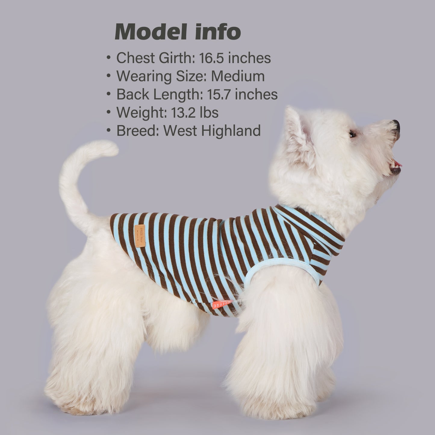 KYEESE 2Pack Velvet Fleece Dog Sweaters – Warm, Stretchy Turtleneck Pullovers