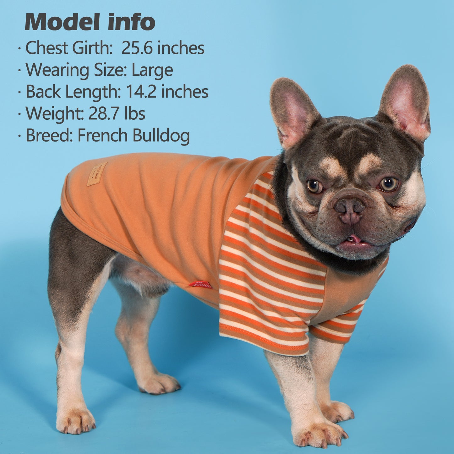 KYEESE 2Pack / 3Pack Dog Sweaters – Soft Stretchy Fleece Pullover Pet Clothes for Cold Weather