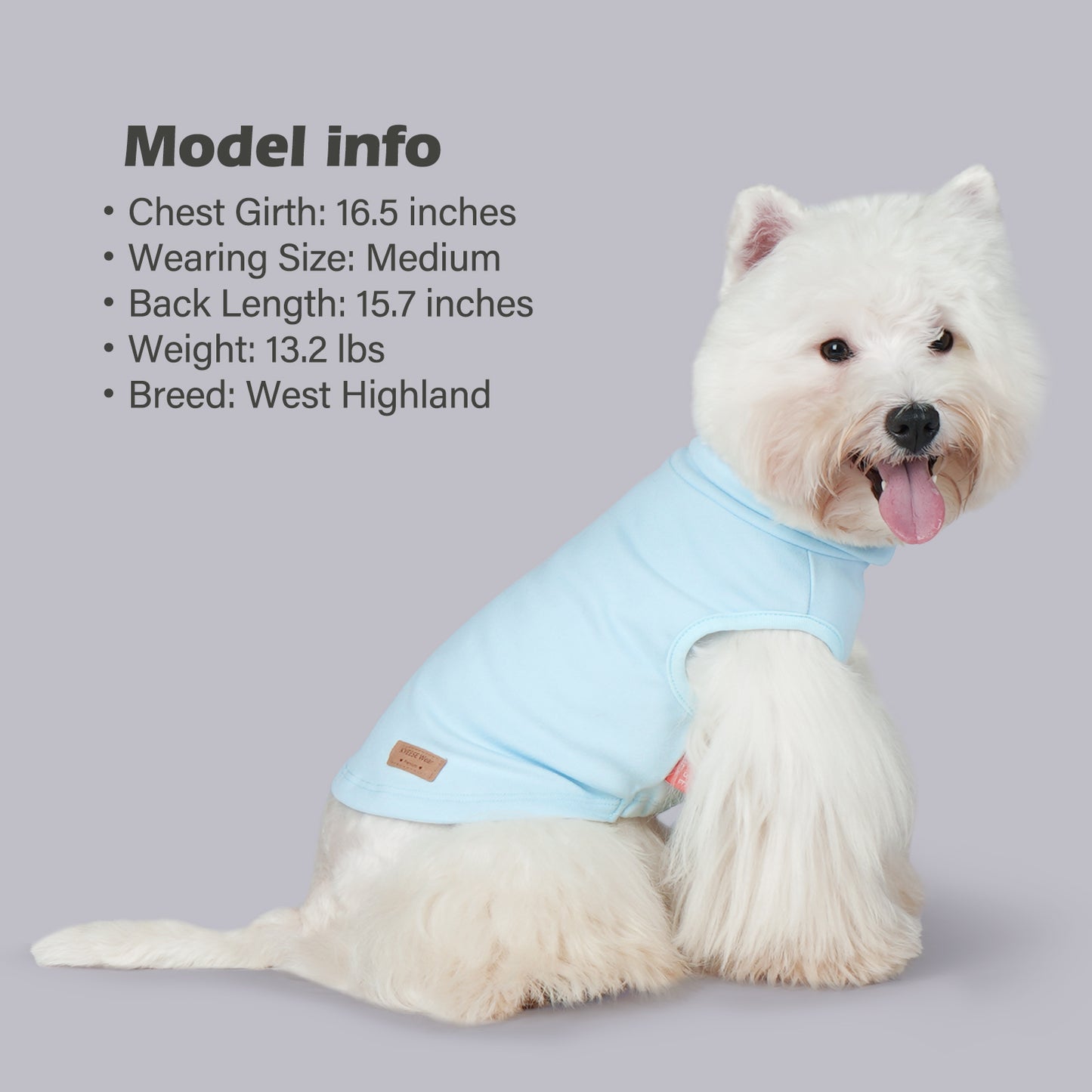 KYEESE 2Pack Velvet Fleece Dog Sweaters – Warm, Stretchy Turtleneck Pullovers