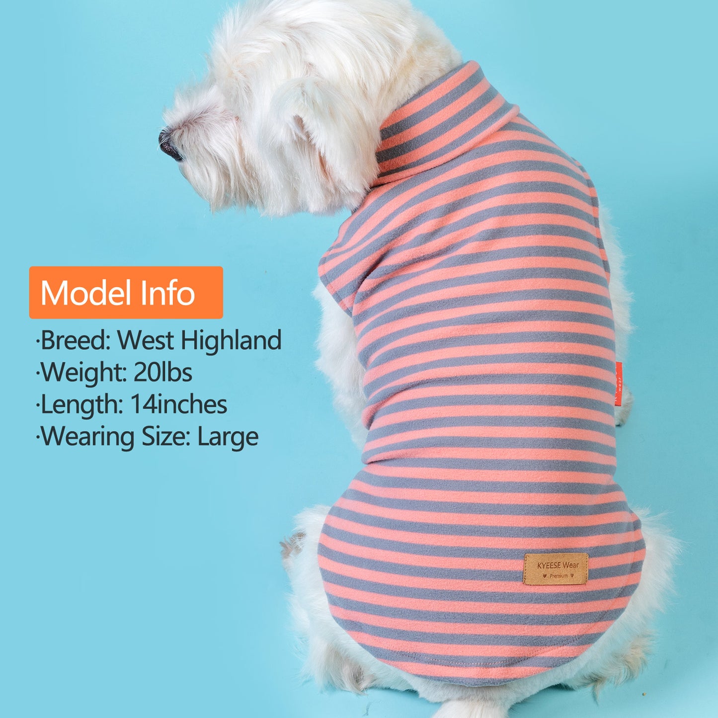 KYEESE 2Pack Velvet Fleece Dog Sweaters – Warm, Stretchy Turtleneck Pullovers