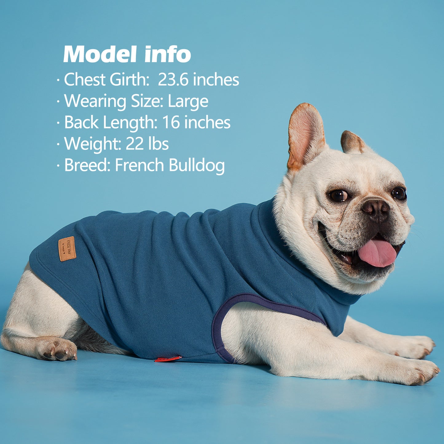 KYEESE 2Pack Velvet Fleece Dog Sweaters – Warm, Stretchy Turtleneck Pullovers