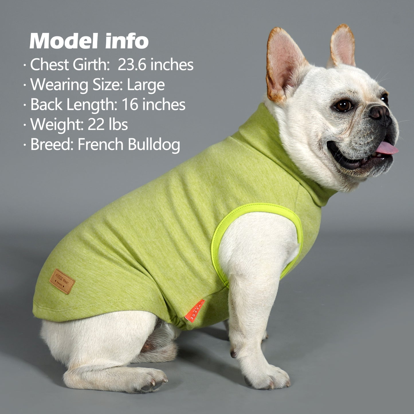 KYEESE 2Pack Velvet Fleece Dog Sweaters – Warm, Stretchy Turtleneck Pullovers