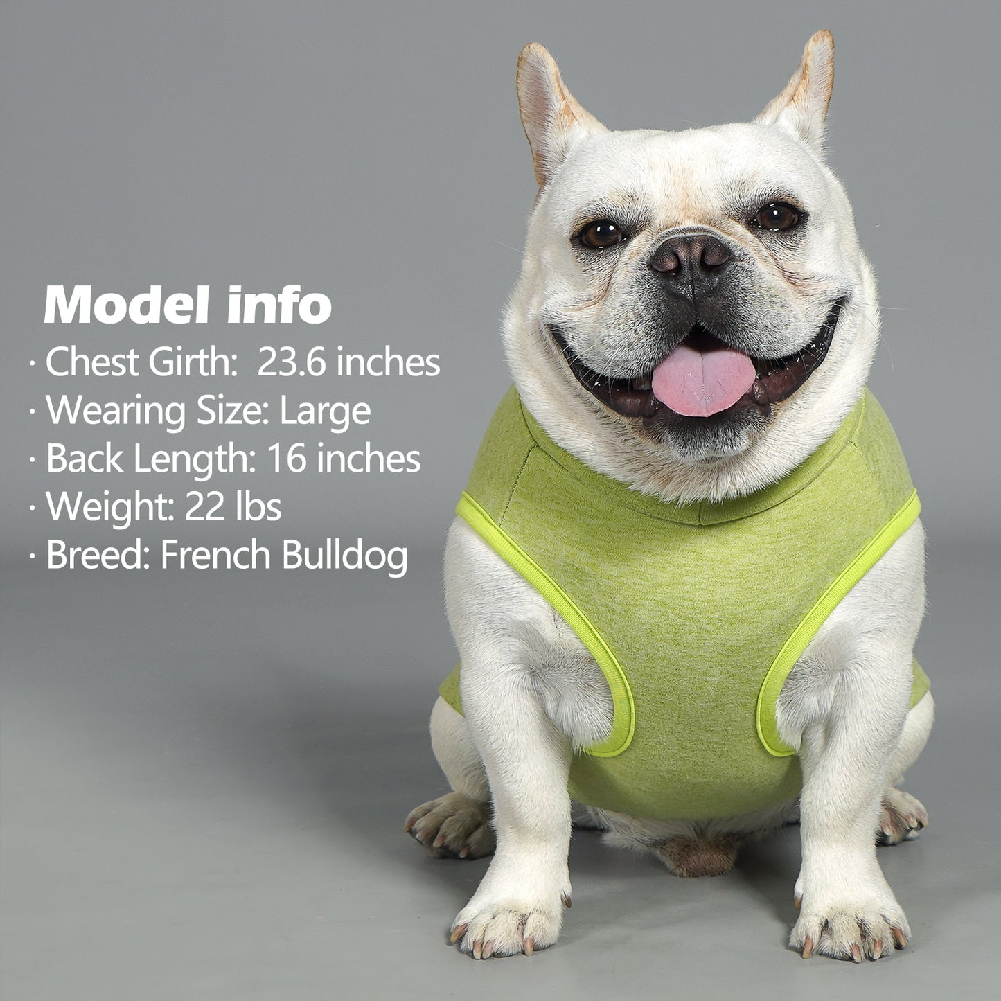 KYEESE 2Pack Velvet Fleece Dog Sweaters – Warm, Stretchy Turtleneck Pullovers