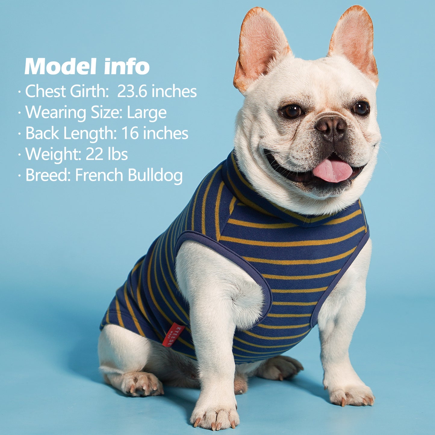 KYEESE 2Pack Velvet Fleece Dog Sweaters – Warm, Stretchy Turtleneck Pullovers