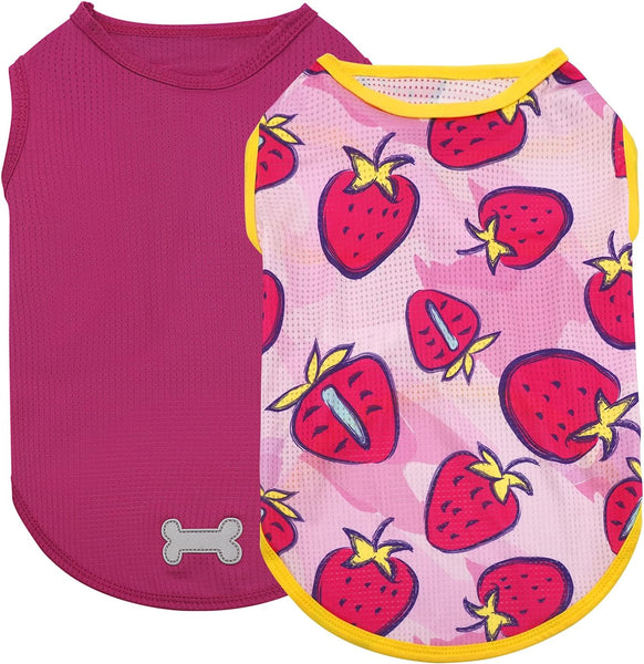 KYEESE 2 PACK CUTE PATTERN MESH SHIRTS