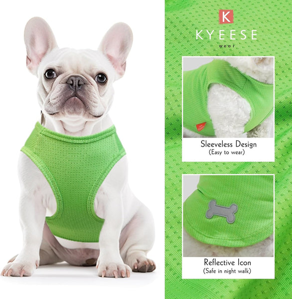KYEESE 2 PACK CUTE PATTERN MESH SHIRTS