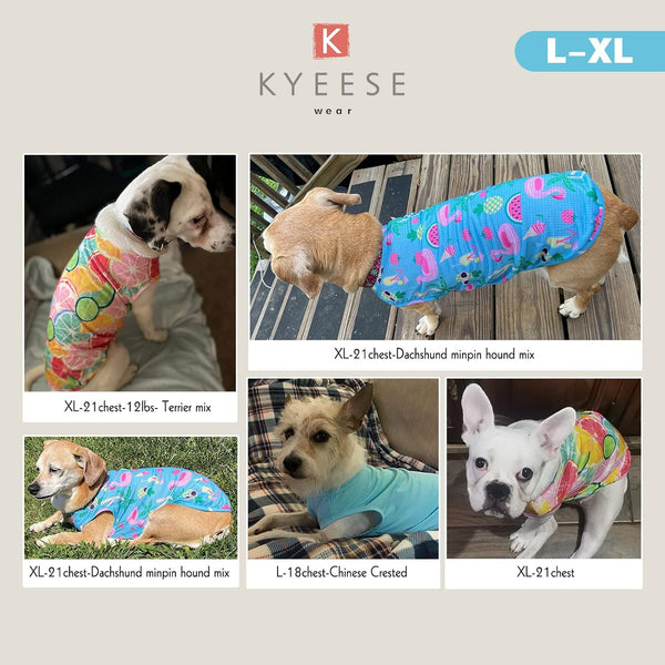 KYEESE 2 PACK CUTE PATTERN MESH SHIRTS