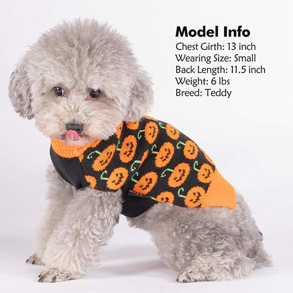 KYEESE HALLOWEEN PUMPKIN SWEATER