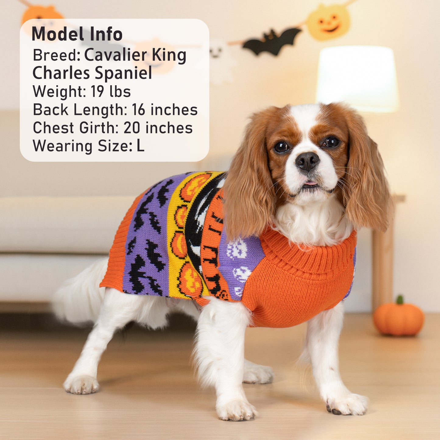 KYEESE Pumpkin & Ghost Dog Sweater – Cute Halloween Sleeveless Outfit