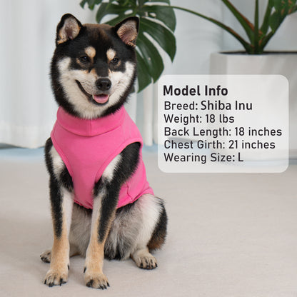 KYEESE 2Pack Velvet Fleece Dog Sweaters – Warm, Stretchy Turtleneck Pullovers