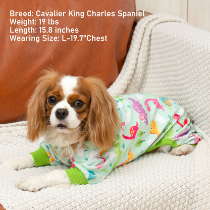 KYEESE Adorable Print Dog Pajamas – Cozy, Sensitive-Skin Friendly Sleepwear