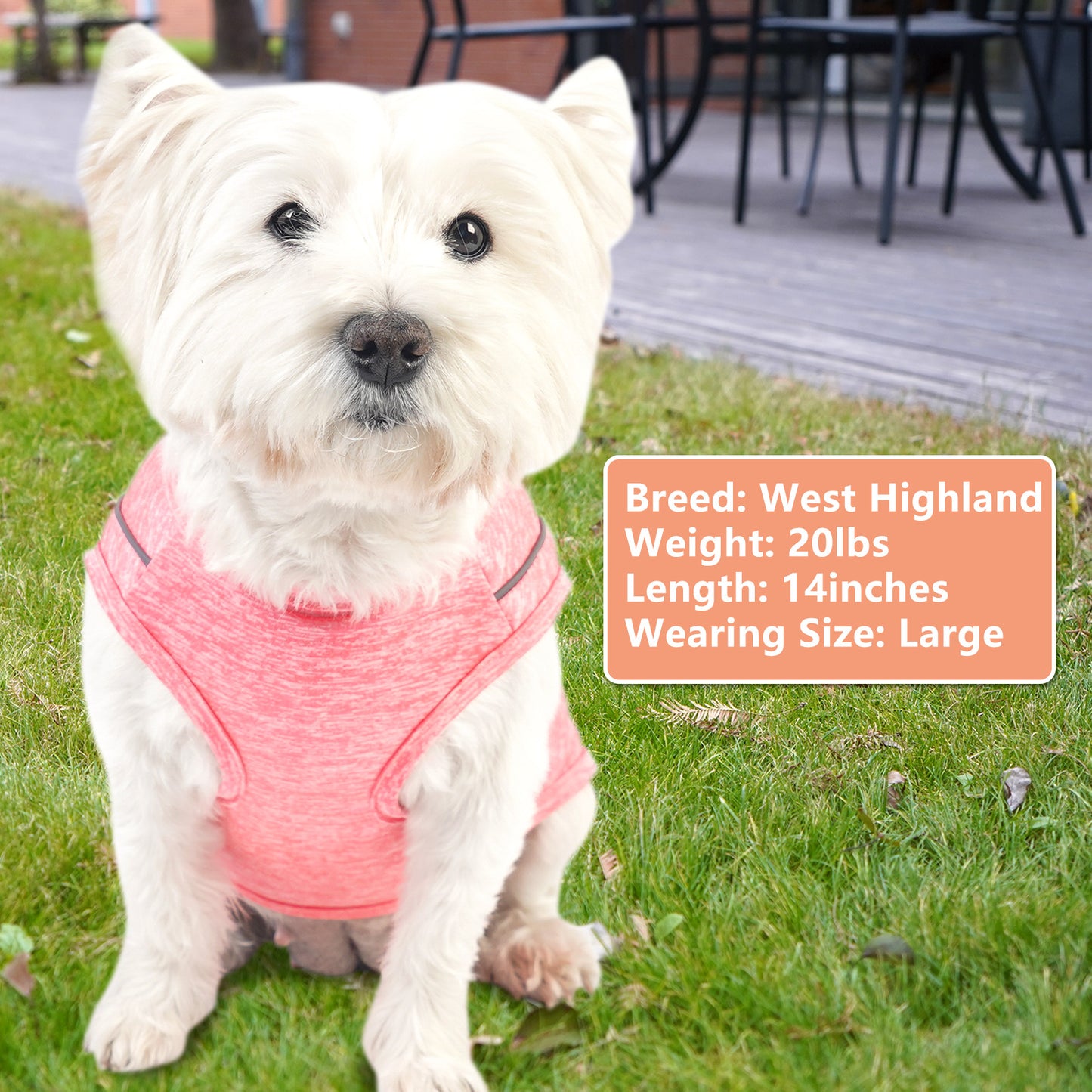 KYEESE Dog Shirt/2pack Dog Shirt-Sports Athletic Breathable Dog T-Shirt with Reflective Strip Tank Top
