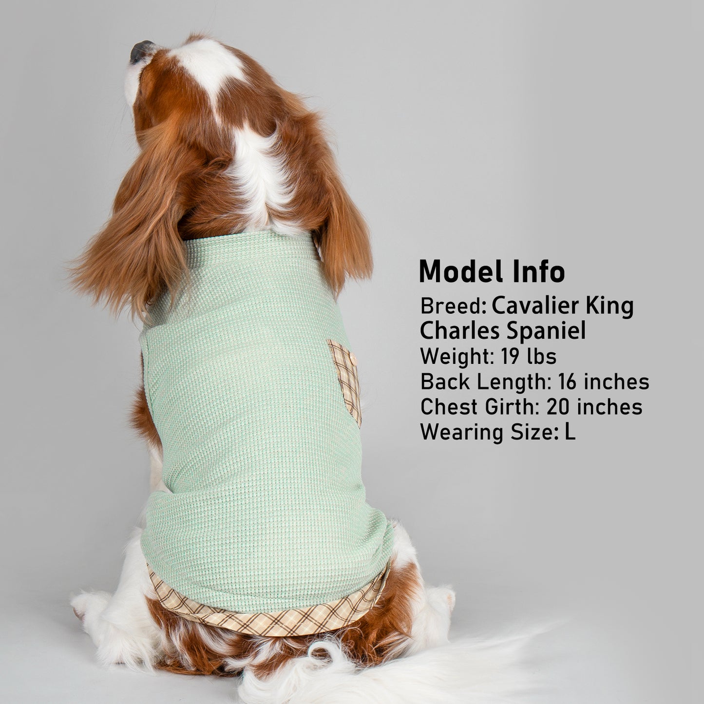 KYEESE Waffle Dog Shirts-with Pocket Decorations and Plaid Patchwork