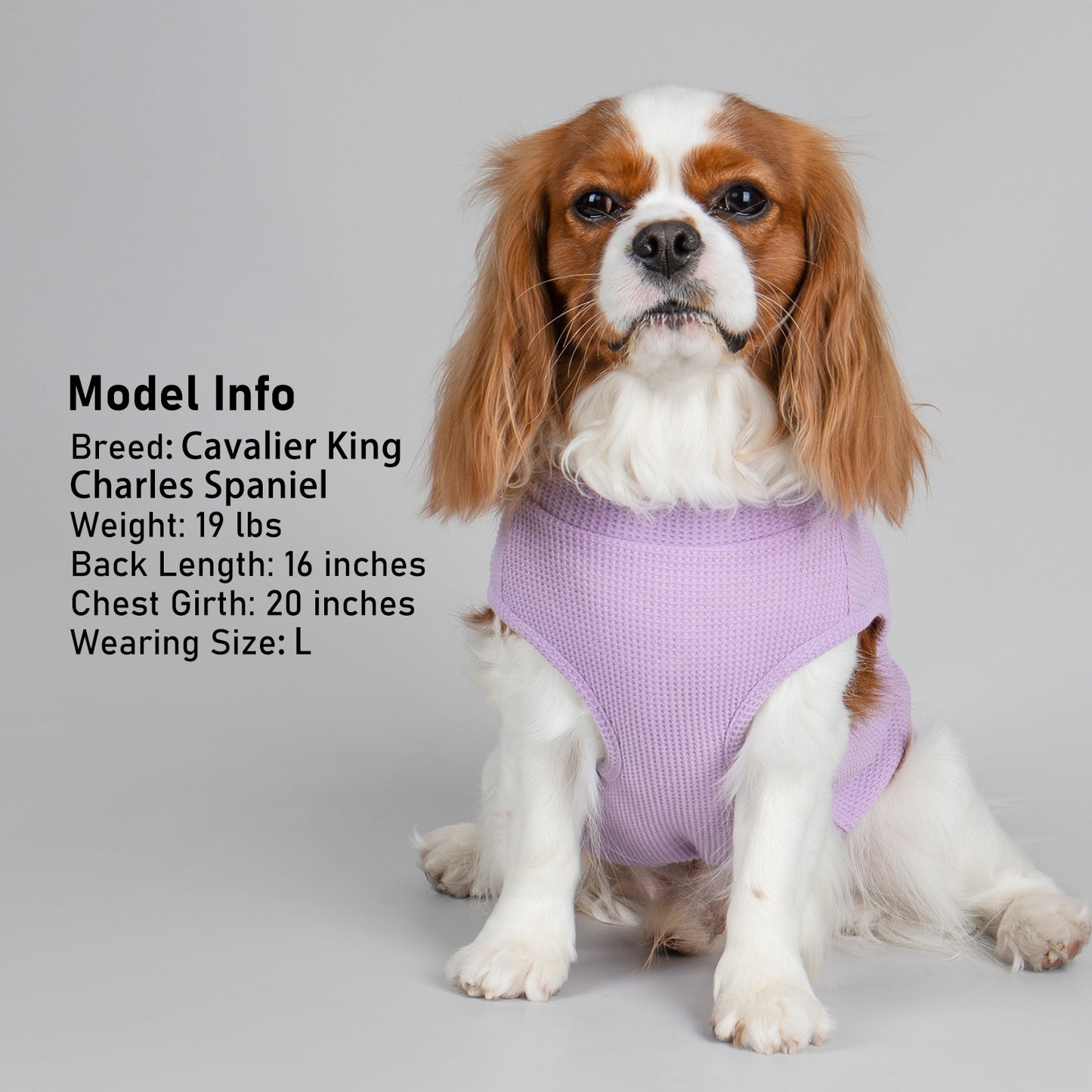 KYEESE Waffle Dog Shirts-with Pocket Decorations and Plaid Patchwork