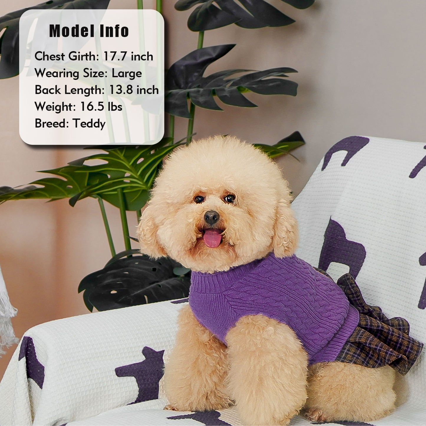KYEESE Dog Sweater – Knitwear Dog Sweater Dress with Bowtie, Stretchy Thick Warm & Preppy Style
