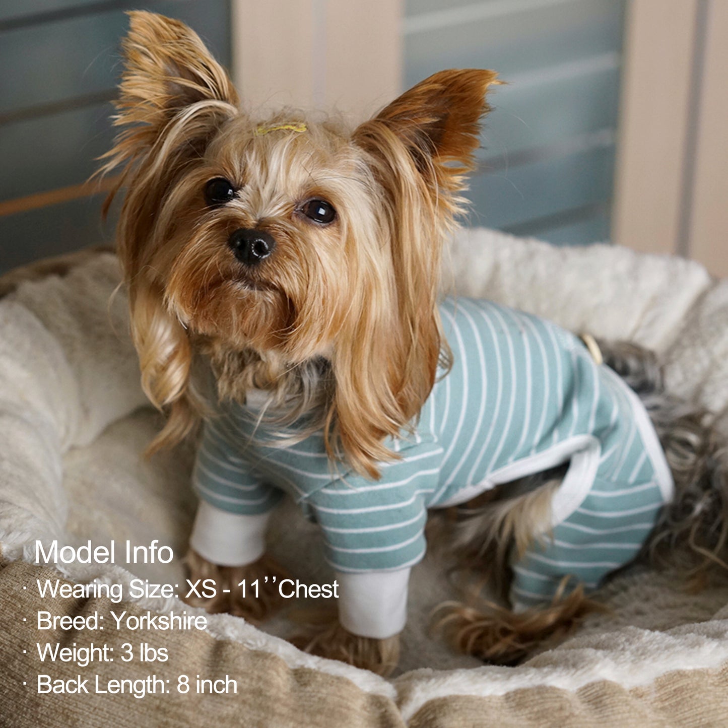 KYEESE Striped Dog Pajamas – Cozy Sleepwear for Dogs & Cats