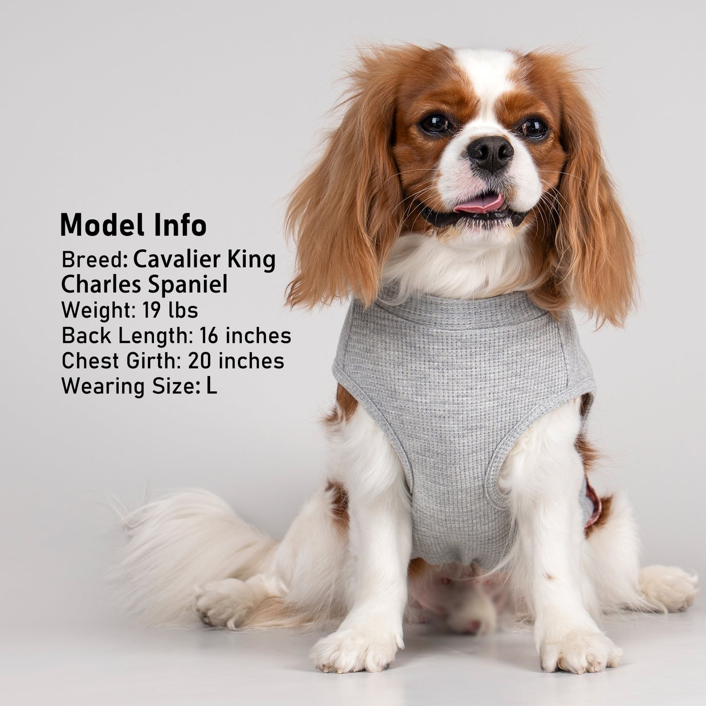 KYEESE Waffle Dog Shirts-with Pocket Decorations and Plaid Patchwork