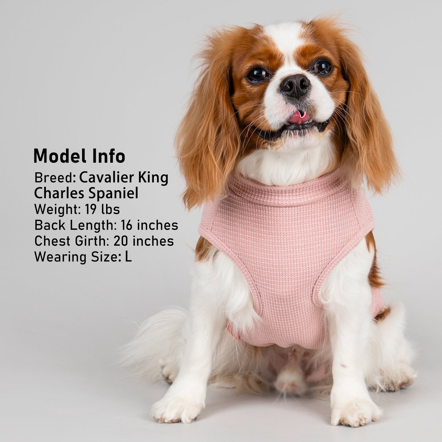 KYEESE Waffle Dog Shirts-with Pocket Decorations and Plaid Patchwork