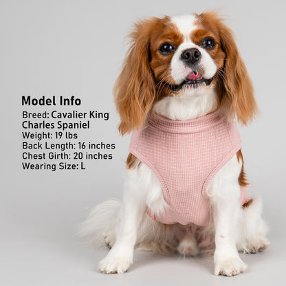KYEESE Waffle Dog Shirts-with Pocket Decorations and Plaid Patchwork
