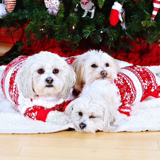 kyeese Christmas Dog Pajamas with Snowflake Pattern