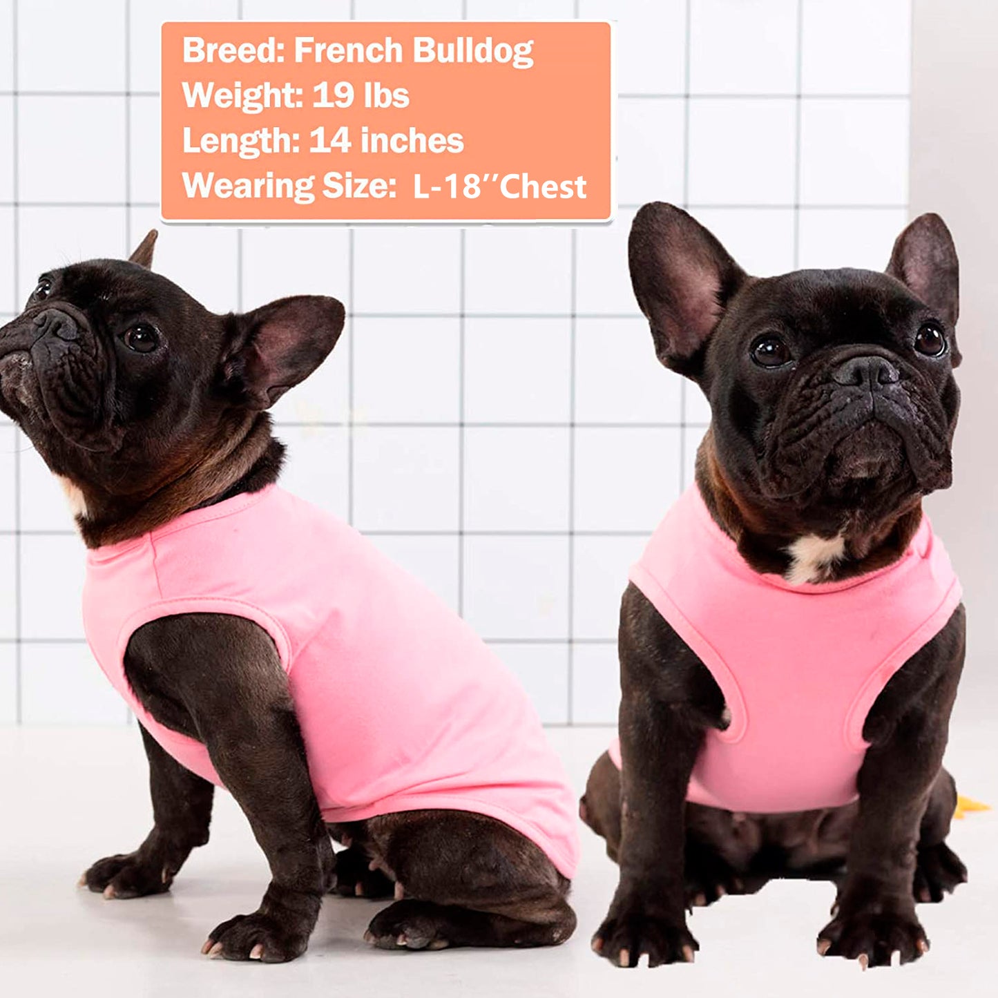 KYEESE 2Pack Striped Dog Shirts – Lightweight Cotton Sleeveless T-Shirts