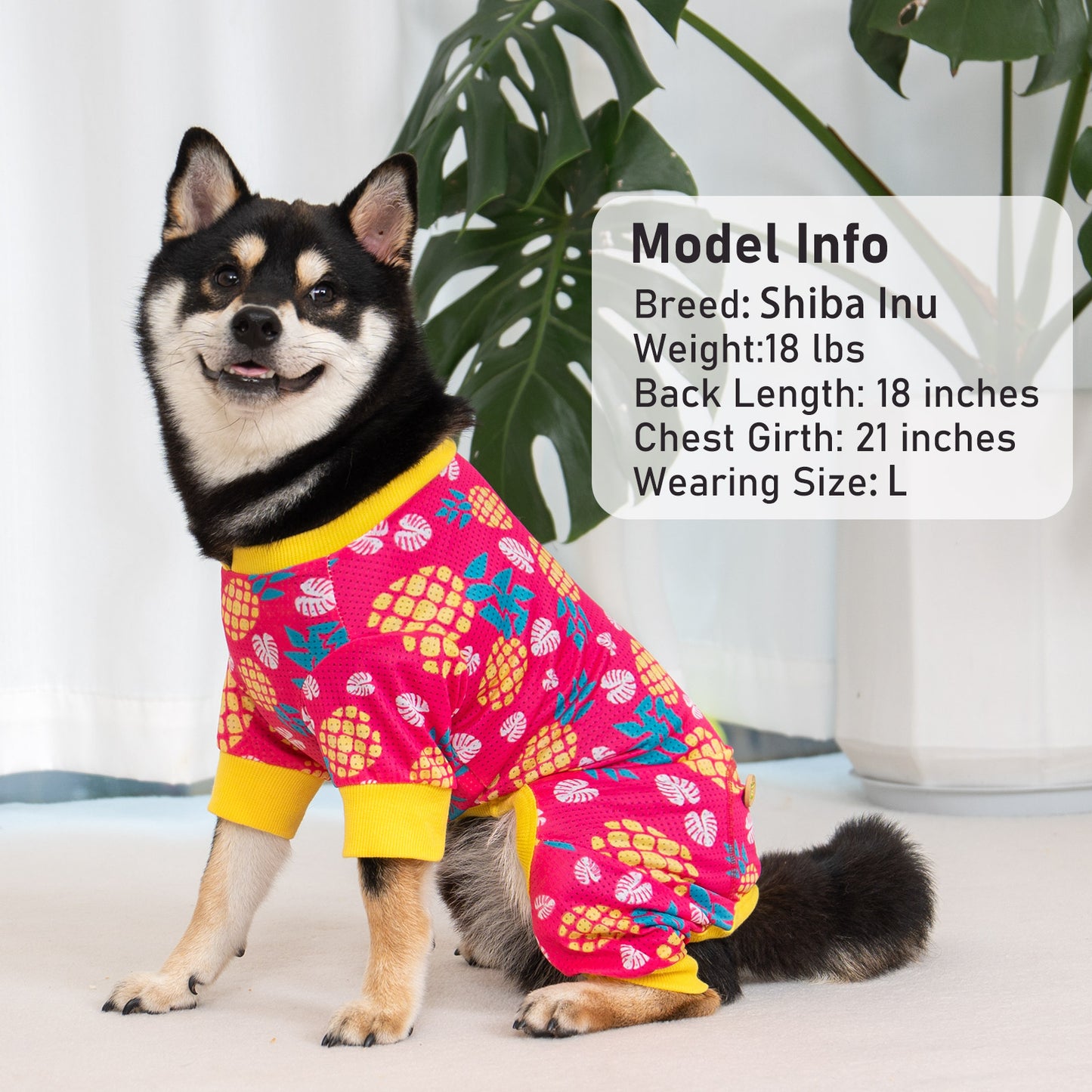 KYEESE Mesh Dog Pajamas-Fast-Drying Breathable Pet Onesie