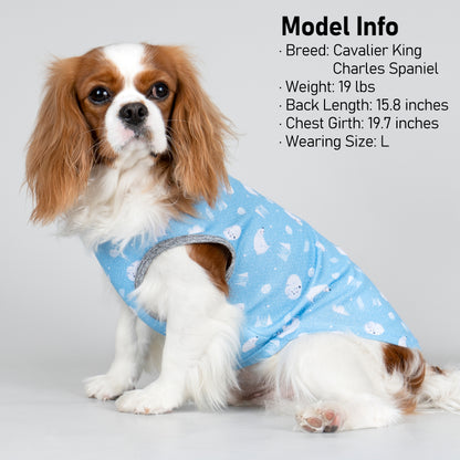 KYEESE 2 Pack Dog Cooling Shirts-Breathable  Instant Cooling Dog Vest