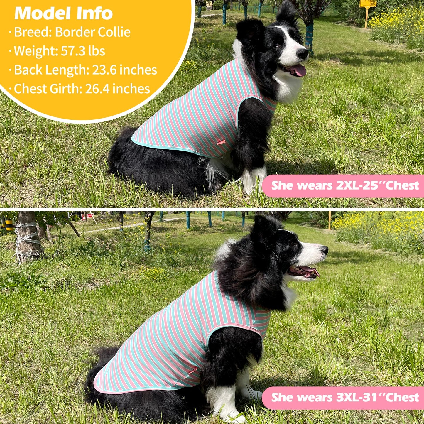 KYEESE 2Pack Striped Dog Shirts – Lightweight Cotton Sleeveless T-Shirts