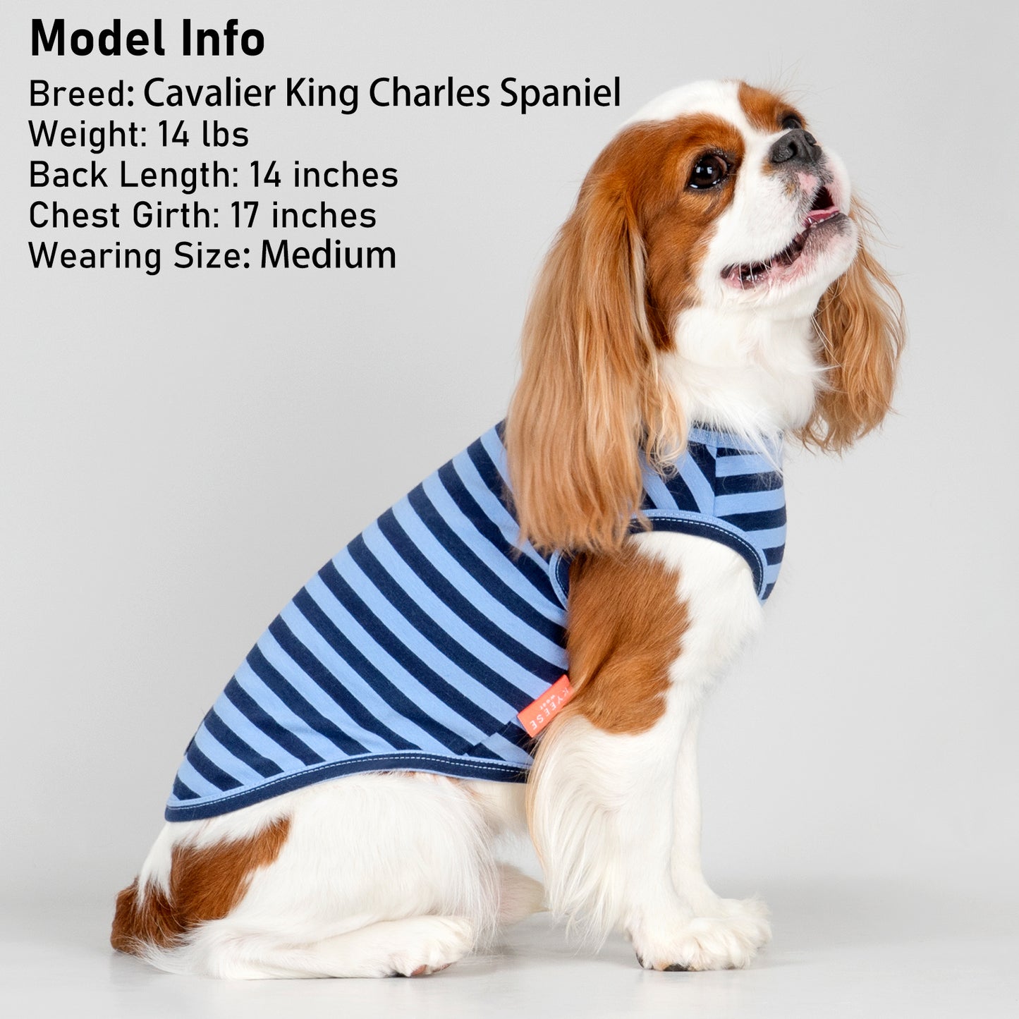 KYEESE 2Pack Striped Dog Shirts – Lightweight Cotton Sleeveless T-Shirts