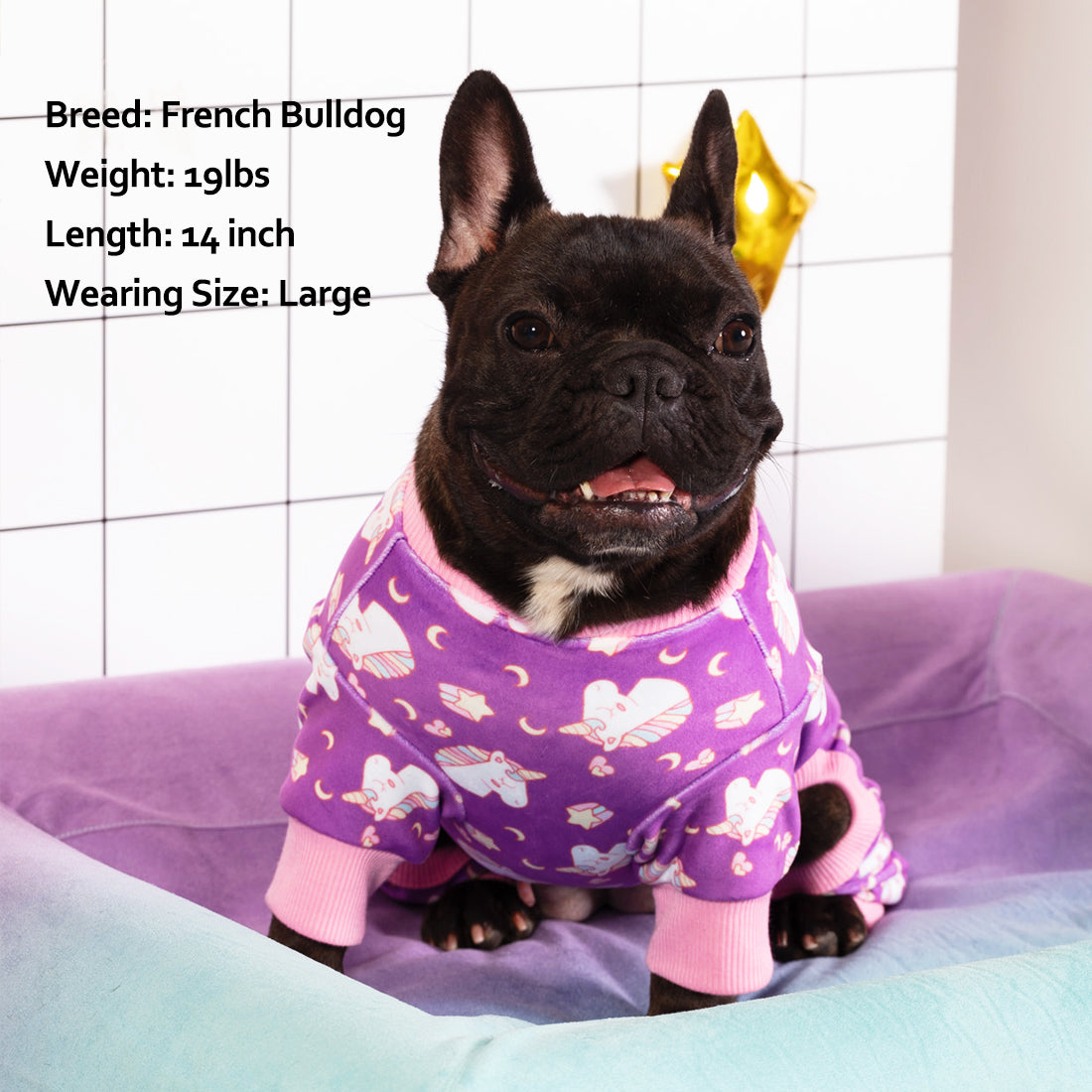 Purple Unicorn Velvet Dog Pajamas