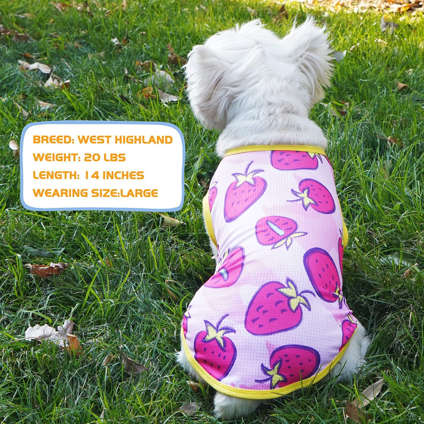 KYEESE 2 Pack Dog Shirts-Quick Dry Tank Top with Reflective Label