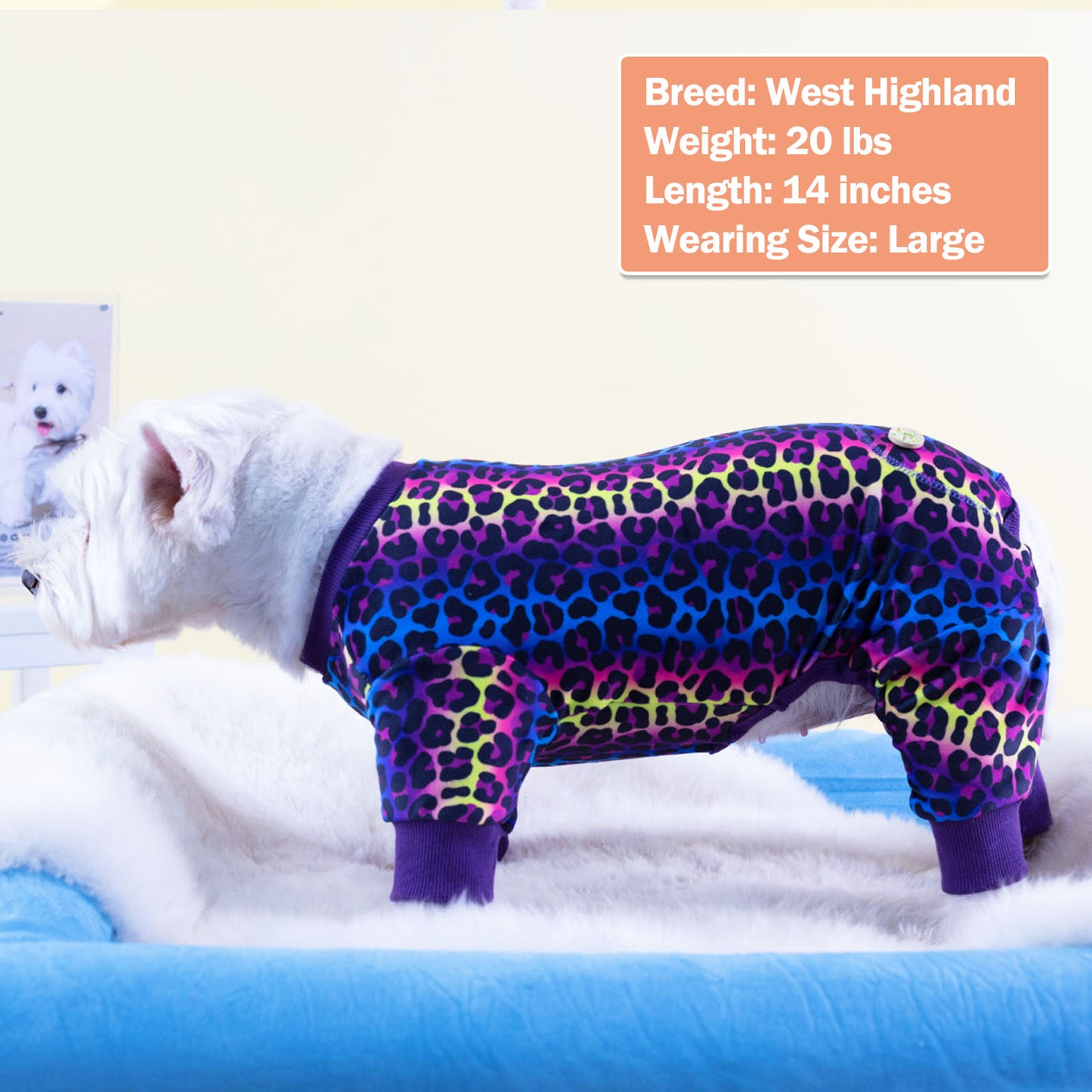 KYEESE Adorable Print Dog Pajamas – Cozy, Sensitive-Skin Friendly Sleepwear