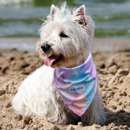 KYEESE 2 Pack Dog Instant Cooling Bandanas-Breathable Dog Scarf Triangle