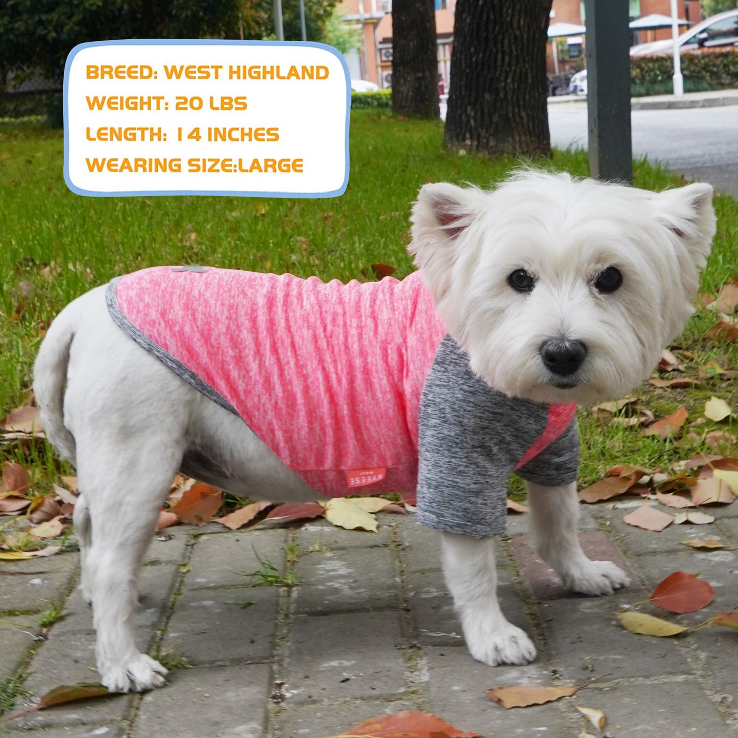 KYEESE 2 Pack Dog Shirt-Quick Dry Dog T-Shirts with Reflective Label Raglan Sleeve