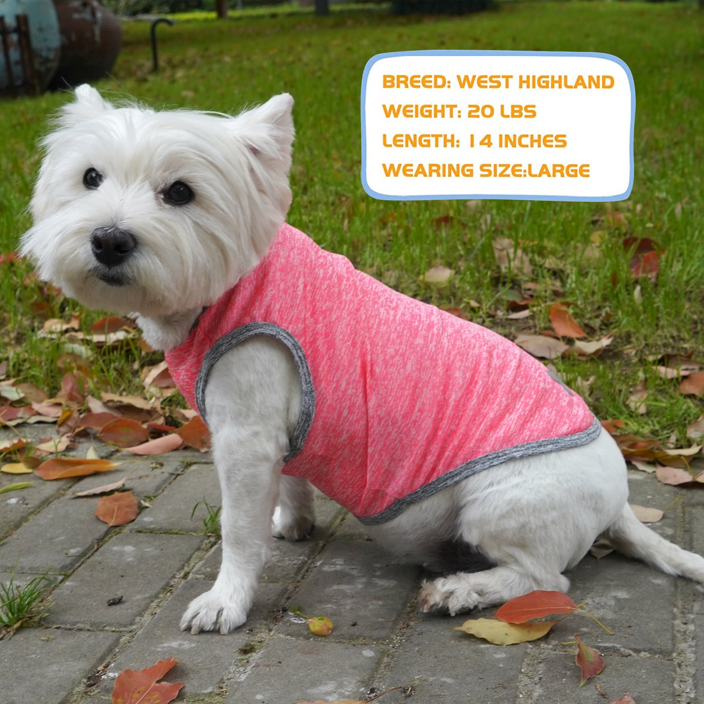 KYEESE 2 Pack Dog Shirts- Sun Protection Quick Dry Reflective Label Sleeveless Dog Vest