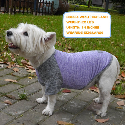 KYEESE 2 Pack Dog Shirt-Quick Dry Dog T-Shirts with Reflective Label Raglan Sleeve
