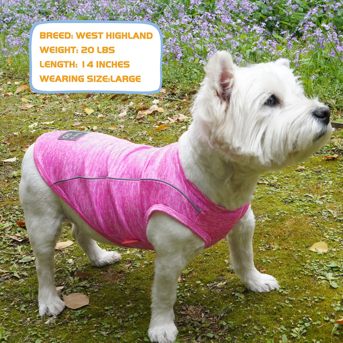 KYEESE Dog Shirt/2pack Dog Shirt-Sports Athletic Breathable Dog T-Shirt with Reflective Strip Tank Top