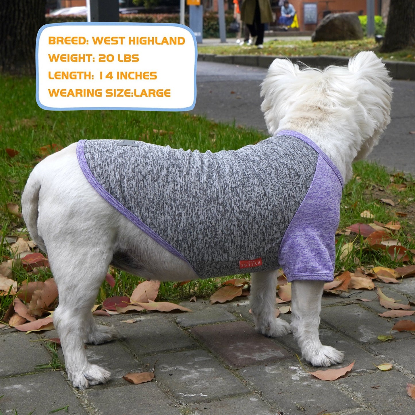 KYEESE 2 Pack Dog Shirt-Quick Dry Dog T-Shirts with Reflective Label Raglan Sleeve