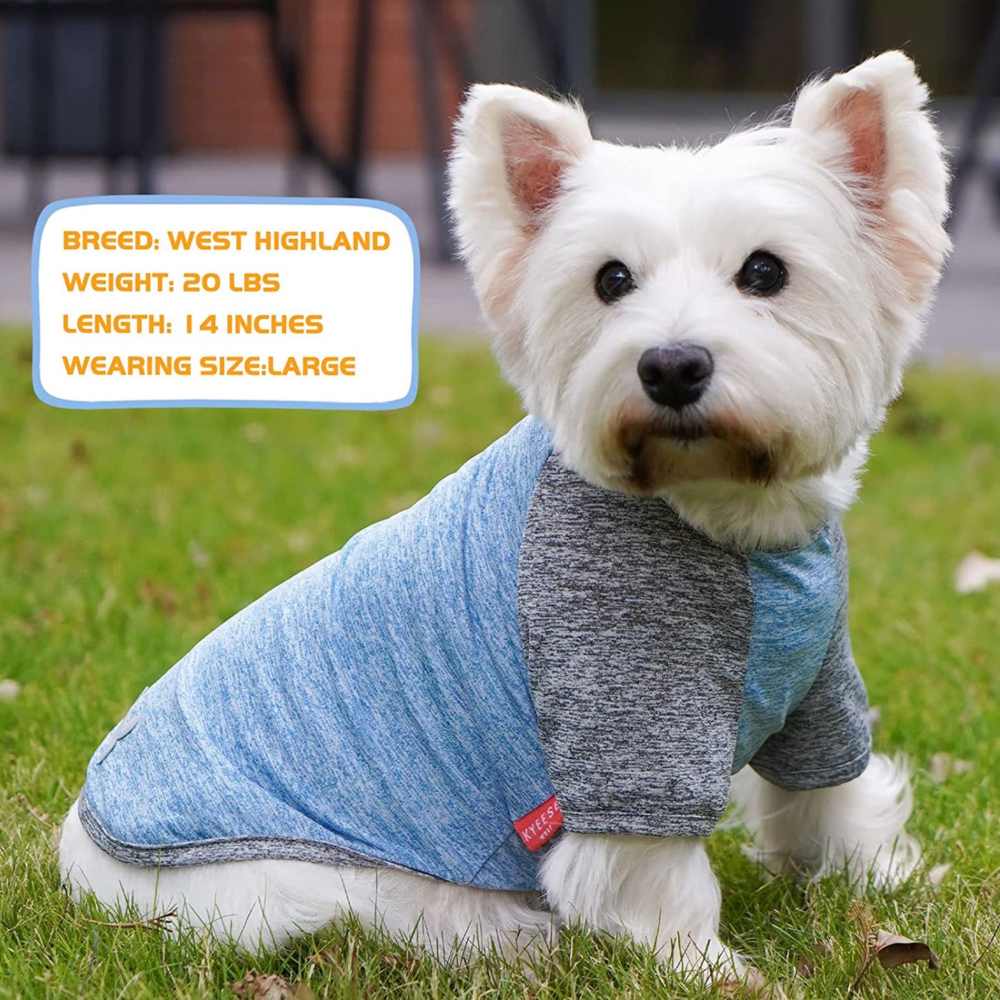 KYEESE 2 Pack Dog Shirt-Quick Dry Dog T-Shirts with Reflective Label Raglan Sleeve