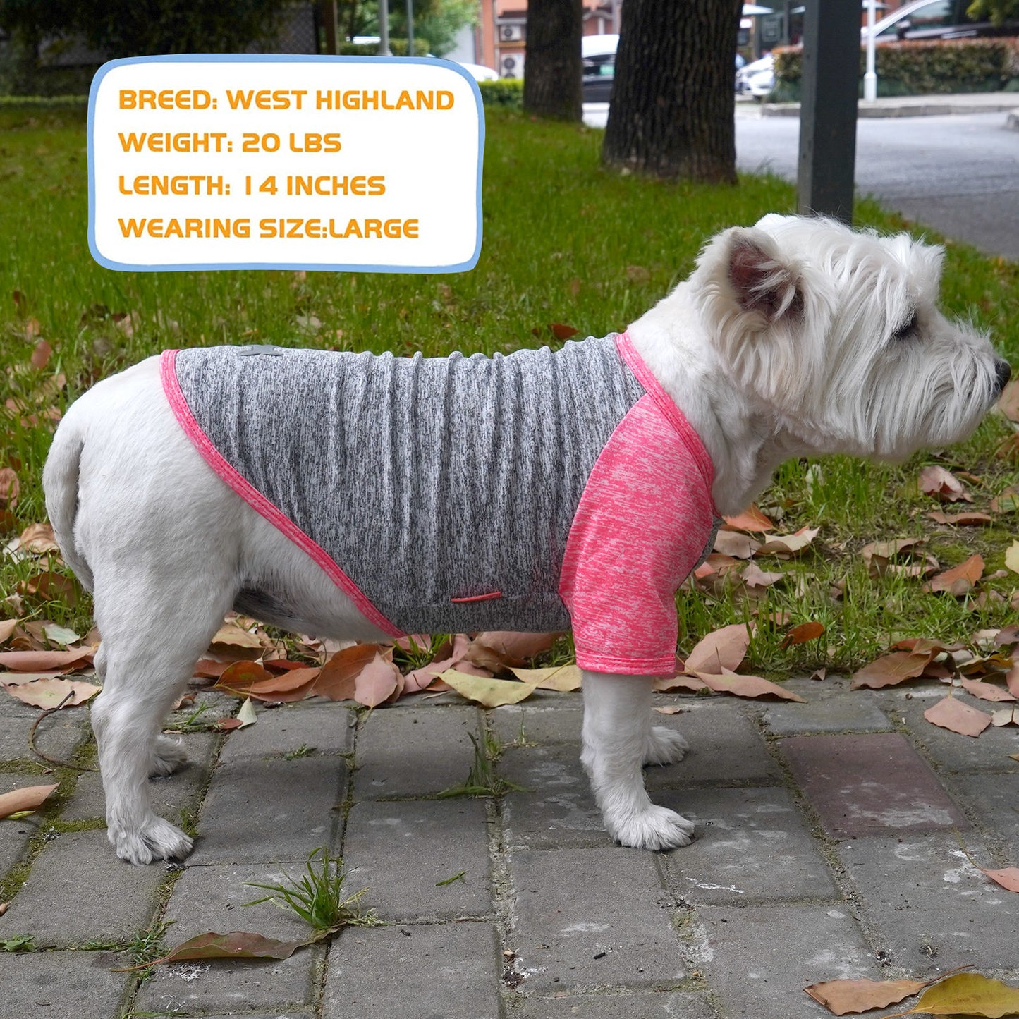 KYEESE 2 Pack Dog Shirt-Quick Dry Dog T-Shirts with Reflective Label Raglan Sleeve