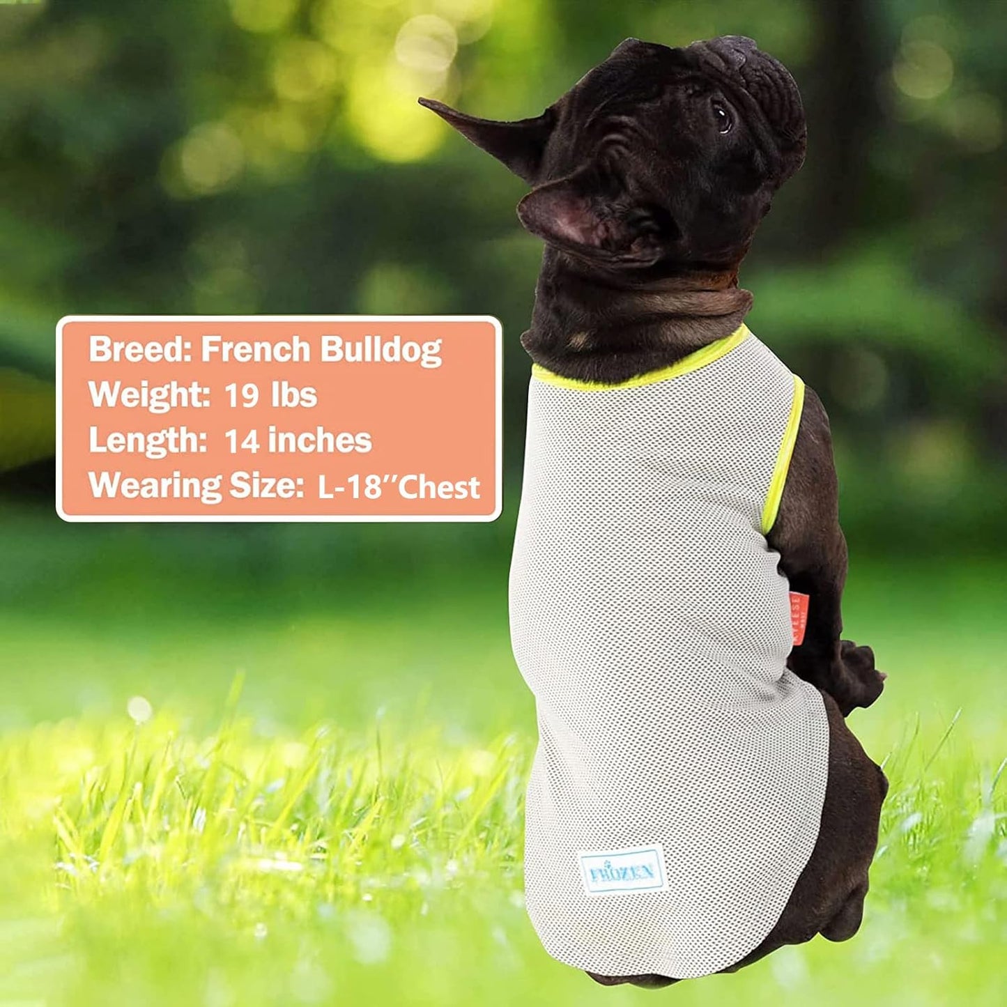 KYEESE 2 Pack Dog Cooling Shirts-Breathable  Instant Cooling Dog Vest