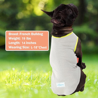 KYEESE 2 Pack Dog Cooling Shirts-Breathable  Instant Cooling Dog Vest