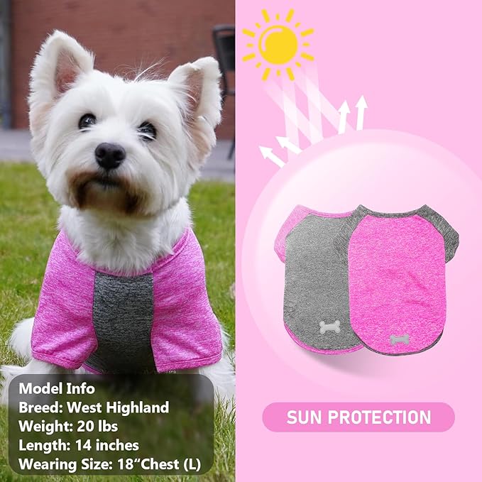 KYEESE 2 Pack Dog Shirt-Quick Dry Dog T-Shirts with Reflective Label Raglan Sleeve