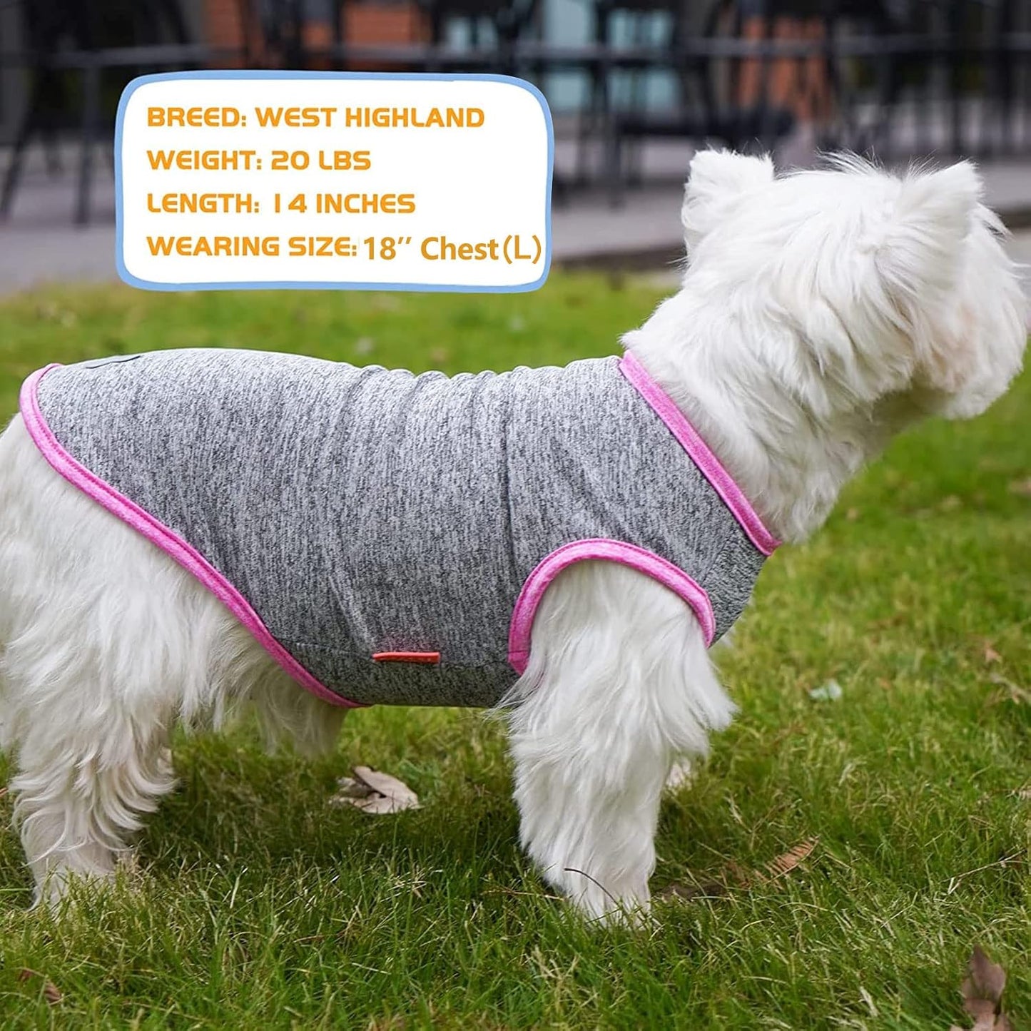 KYEESE 2 Pack Dog Shirts- Sun Protection Quick Dry Reflective Label Sleeveless Dog Vest
