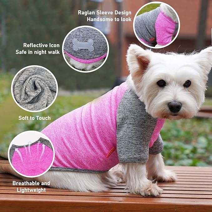 KYEESE 2 Pack Dog Shirt-Quick Dry Dog T-Shirts with Reflective Label Raglan Sleeve