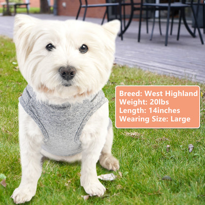 KYEESE Dog Shirt/2pack Dog Shirt-Sports Athletic Breathable Dog T-Shirt with Reflective Strip Tank Top